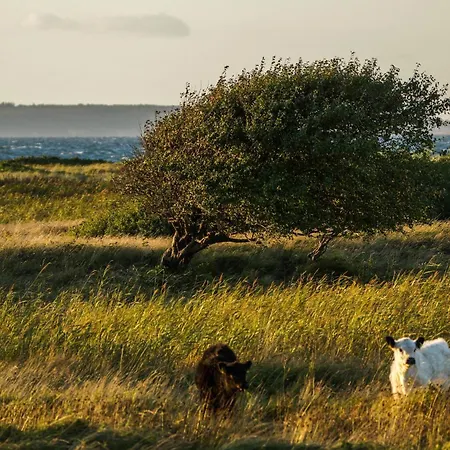 Kaetchen Am Schlossgraben - Schloss * Gelting